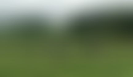 Whitland Dairy Sale - 14/07/2015