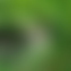 Facelift at the farmette