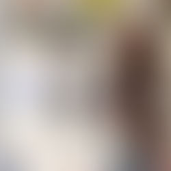 Christmas near the farmette