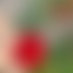 Growing season at the farmette