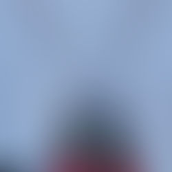 Trekking and trimming at the farmette