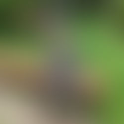 Day away to Stratford