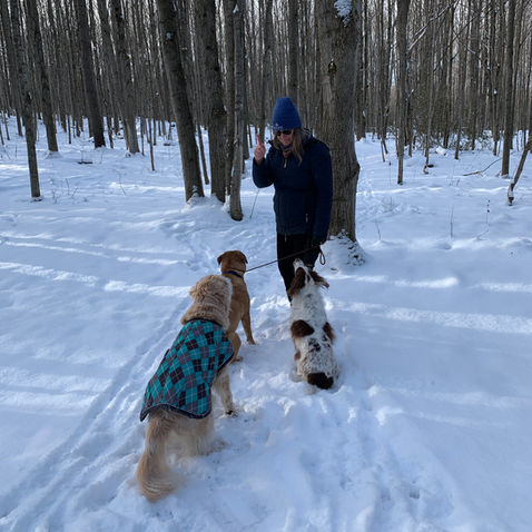 Entertaining in Feversham