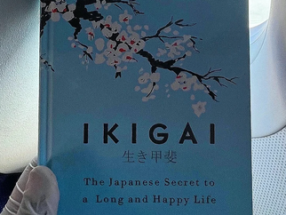 The Ikigai Path: Crafting a Life of Harmony and Purpose