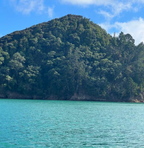 sea view of lush green mountain