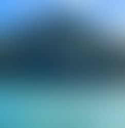 sea view of lush green mountain