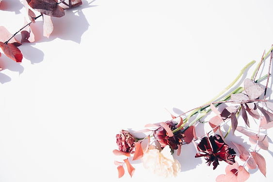 red petaled flower_edited.jpg