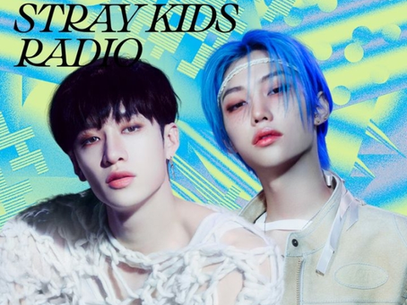📻ALL ABOUT STRAY KIDS|EP 01