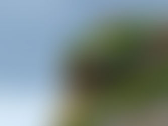 SEEING FACES IN CLOUDS, HILLS, AND TREES: Pareidolia