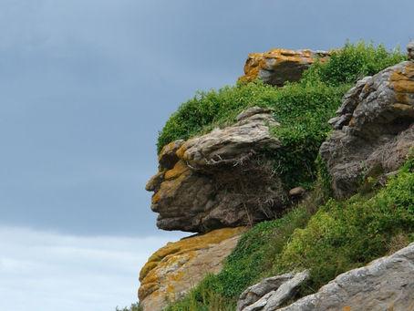 SEEING FACES IN CLOUDS, HILLS, AND TREES: Pareidolia