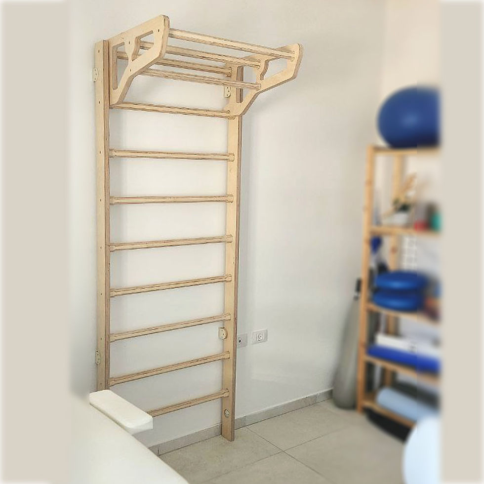 תמונה ממוזערת: סולם שוודי יחיד כולל מתח