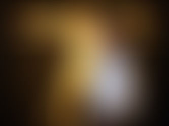 Karsh Award Review 2014 - Winner Chantal Gervais