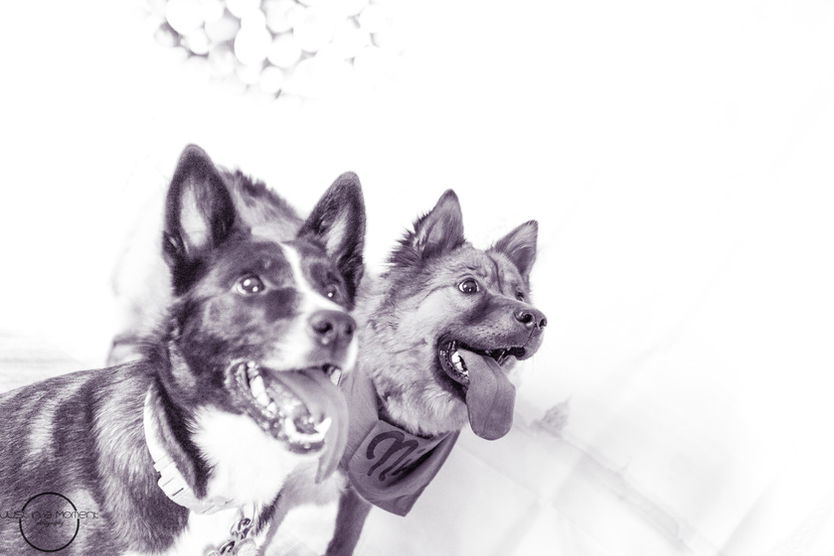 So We Started A Business