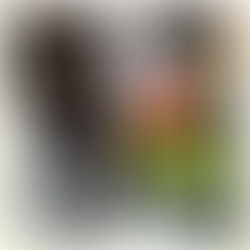 New Year New You, Well Kinda...