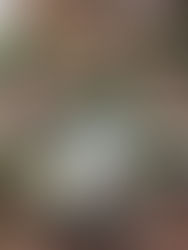 Troegs Independent Brewery