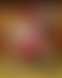 Our Last Day at Disneyland...