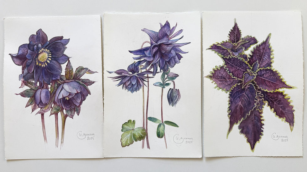 Thumbnail: Helleborus ‘Dark and Handsome’ – Original Botanical Watercolor