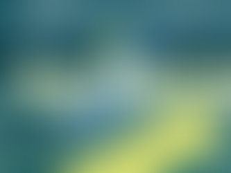 ⬆️ EXP Points ⬆️