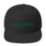 Thumbnail: YouNow Snapback Hat