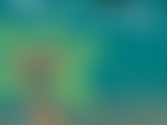 ☀️ Summer Party ☀️