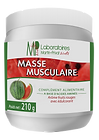Masse musculaire.png