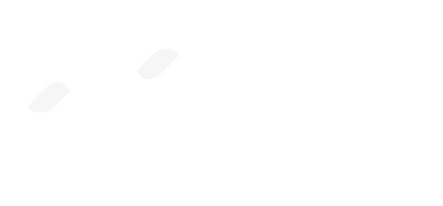 P&D Logo White