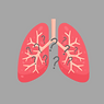 Blue Minimalist Lung Illustration Pulmonologist Logo (5).png