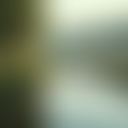 Self-Awareness, Personal Growth and Leadership: Online Course