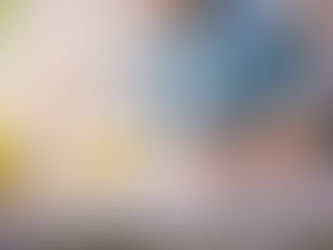 Accounting Difficulties Facing Government Contractors