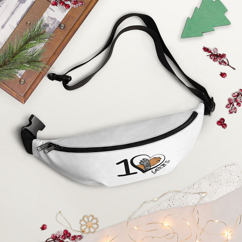 Thumbnail: 10Y Fanny Pack