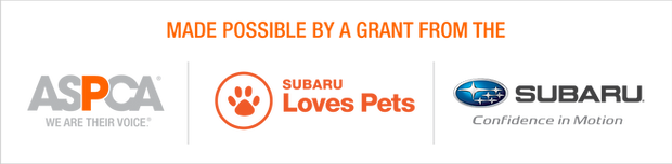 GRNTS MADE POSS_2019 SLP CIM_Hor_WEB.png