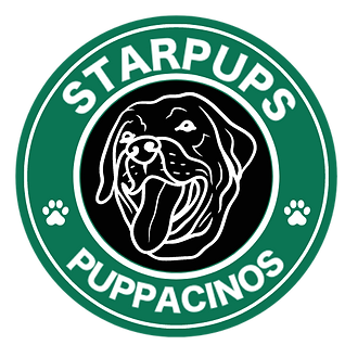 STARPUPS (1).png