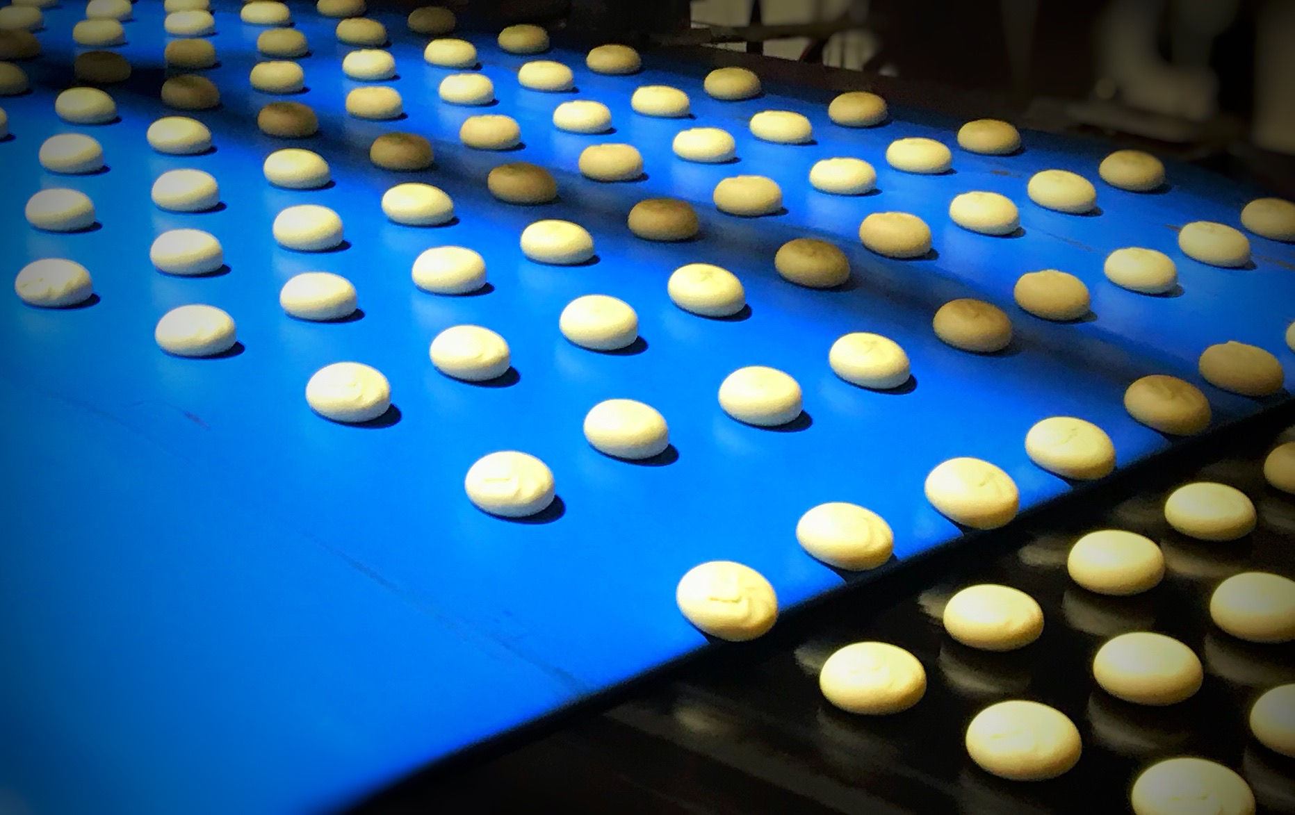 סרטי מסוע לעיבוד בצק