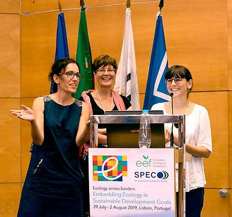rede-portuguesa-restauro-ecologico.jpg