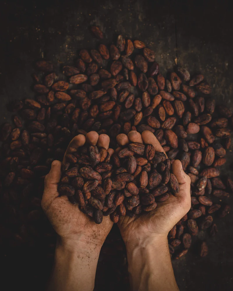 pablo-merchan-montes-SCbq6uKCyMY-unsplash_1_1000x1000.jpg.webp