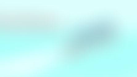 The guided missile organisational culture