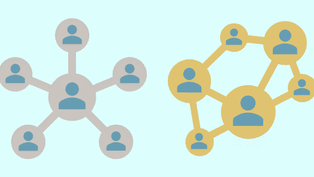 Teamwork skills: The contrast between groups and teams