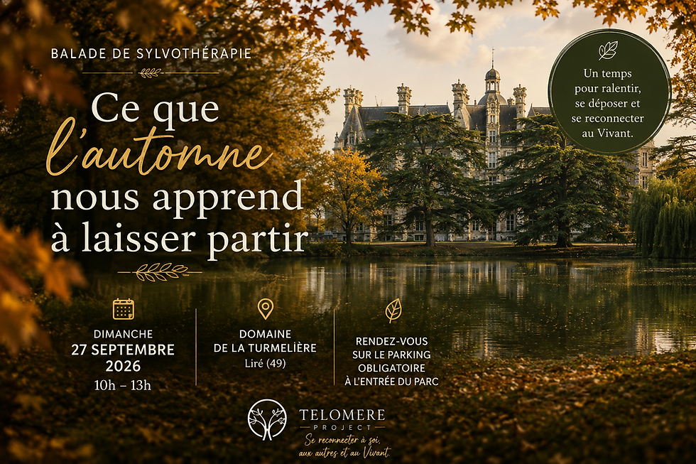 Sylvothérapie au domaine de la Turmelière à Liré