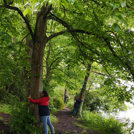 En formation de Sylvothérapie spirituelle