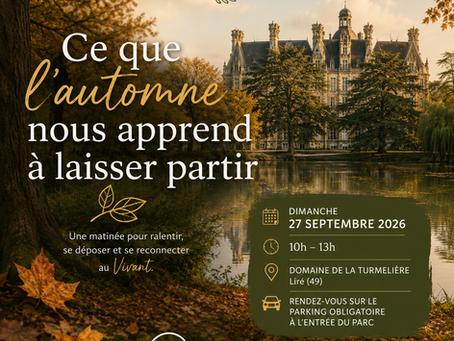 Balade de sylvothérapie au château de la Turmelière le 27/09 : Ce que l’automne nous apprend à laisser partir