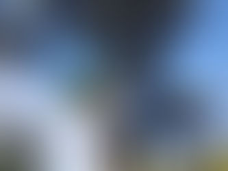 Sortie de Sylvothérapie au parc de la Chantrerie à Nantes