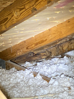 Moisture Intrusion!
