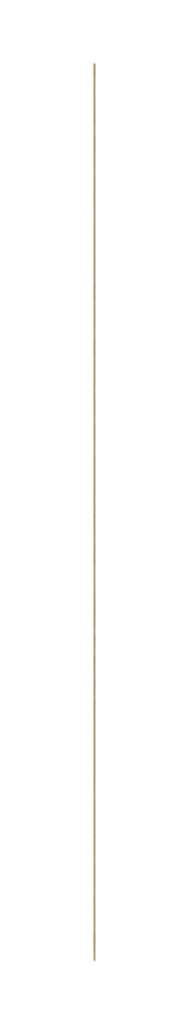 linea vertical para pagina.png