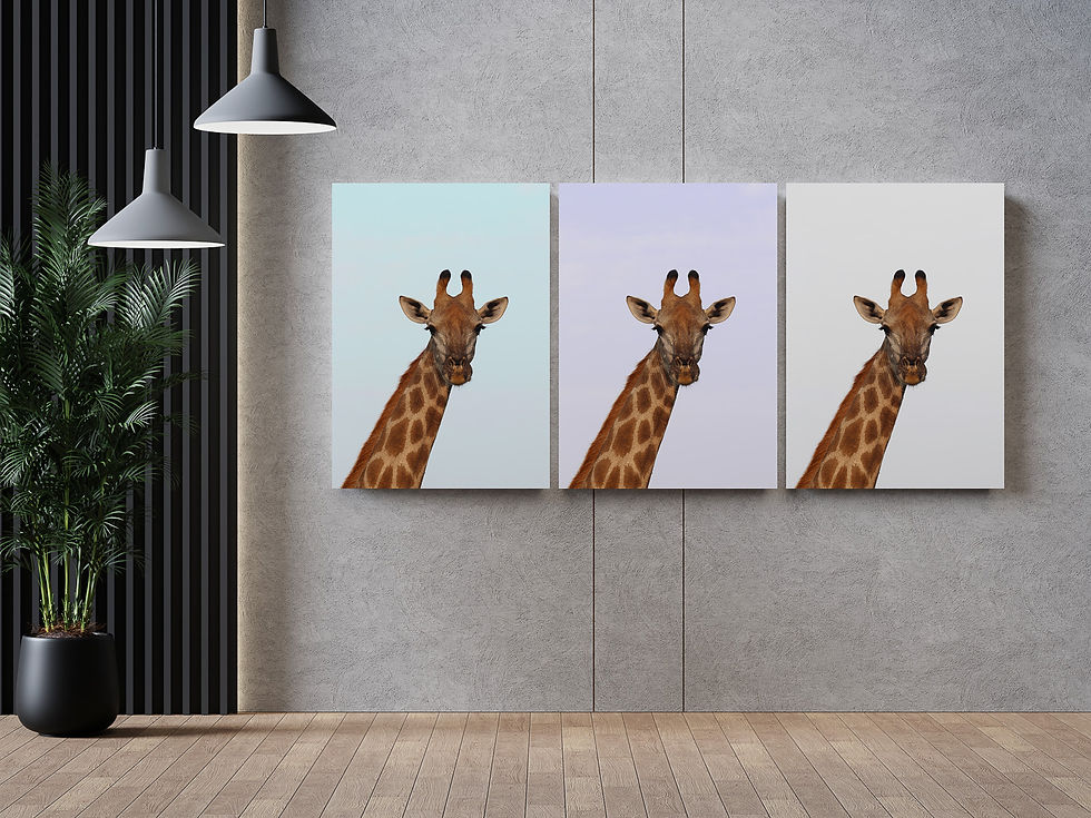 Thumbnail: Curious moment [VI]