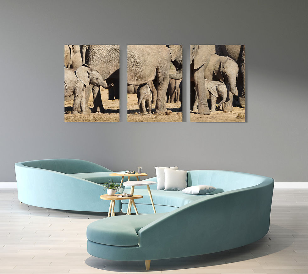 Thumbnail: Pack ties [II]