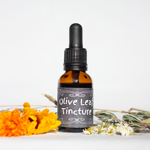 Olive Leaf Tincture Wellnesshanmer olive-leaf-tincture-wellnesshanmer