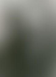 "Il lavoro intellettuale come vocazione": 
esattamente cento anni dopo...