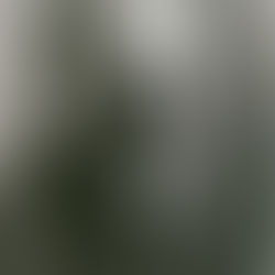 "Il lavoro intellettuale come vocazione":
esattamente cento anni dopo...