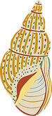 Asset 6.png