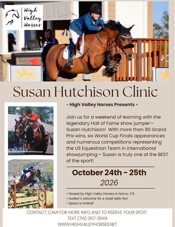 Beige and Brown Modern Horse Riding Course Flyer (1).PNG